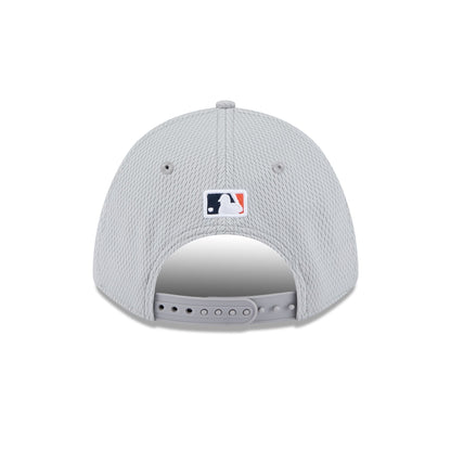 Detroit Tigers 2025 Clubhouse Gray 9FORTY M-Crown Snapback Hat