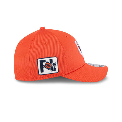 Detroit Tigers 2025 Spring Training 9FORTY M-Crown Snapback Hat