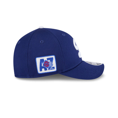 Los Angeles Dodgers 2025 Spring Training 9FORTY M-Crown Snapback Hat
